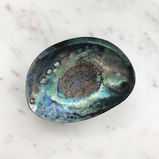 Abalone Shell - Polished